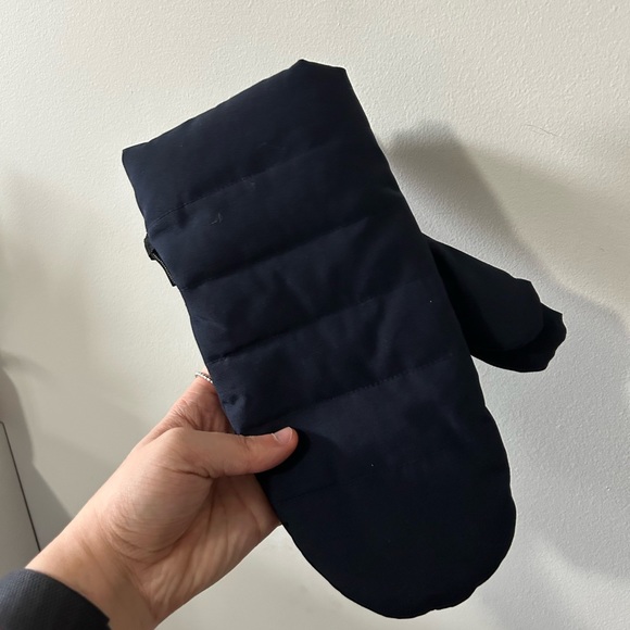 Arctic Expedition Accessories - Arctic Expedition Blue Gloves